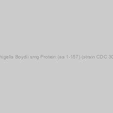 Image of Recombinant Shigella Boydii smg Protein (aa 1-157) (strain CDC 3083-94 / BS512)